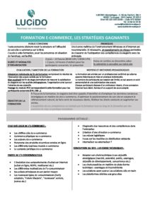 E commerce les strategies gagnantes pdf