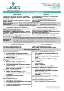 Excel perf pdf