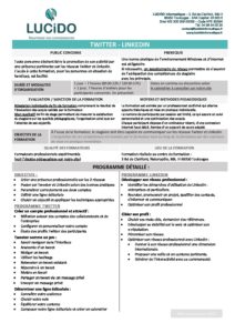 Twitter Linkedin pdf