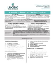 E commerce les strategies gagnantes pdf