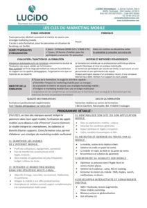 Les cles du marketing mobile pdf
