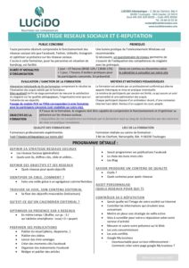 Strategie reseaux sociaux et E reputation pdf