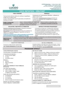 Excel ini pdf